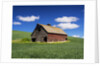 Old Red Barn in a Field of Spring Wheat by Anonymous