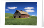 Old Red Barn in a Field of Spring Wheat by Anonymous