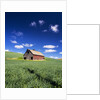 Old Red Barn in a Field of Spring Wheat by Anonymous