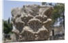 Hebrew menorah carved into stone capital in Roman town of Capernaum by Anonymous