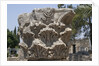 Hebrew menorah carved into stone capital in Roman town of Capernaum by Anonymous