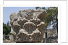 Hebrew menorah carved into stone capital in Roman town of Capernaum by Anonymous