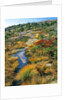 Autumn colors on Cadillac Mountain by Anonymous