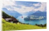 Lake Lucerne by Anonymous