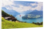 Lake Lucerne by Anonymous