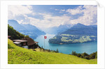 Lake Lucerne by Anonymous