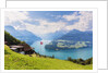 Lake Lucerne by Anonymous