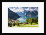 Lake Lucerne by Anonymous