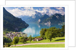 Lake Lucerne by Anonymous