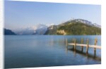 Lake Lucerne by Anonymous