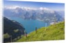 Lake Lucerne by Anonymous