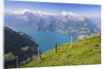 Lake Lucerne by Anonymous