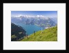 Lake Lucerne by Anonymous