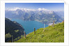 Lake Lucerne by Anonymous