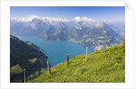 Lake Lucerne by Anonymous