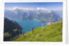 Lake Lucerne by Anonymous