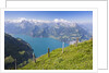 Lake Lucerne by Anonymous