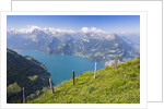 Lake Lucerne by Anonymous