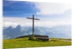 Lake Lucerne by Anonymous