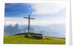 Lake Lucerne by Anonymous
