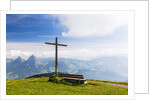 Lake Lucerne by Anonymous