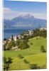Lake Lucerne by Anonymous