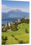 Lake Lucerne by Anonymous