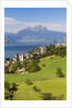 Lake Lucerne by Anonymous