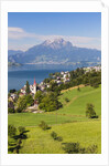 Lake Lucerne by Anonymous