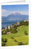 Lake Lucerne by Anonymous
