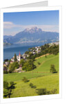 Lake Lucerne by Anonymous