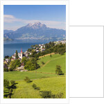 Lake Lucerne by Anonymous
