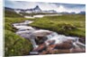 Mountain creek at the Swiss Tectonic Arena Sardona by Anonymous