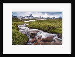 Mountain creek at the Swiss Tectonic Arena Sardona by Anonymous