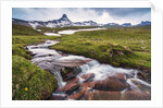 Mountain creek at the Swiss Tectonic Arena Sardona by Anonymous