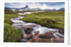 Mountain creek at the Swiss Tectonic Arena Sardona by Anonymous