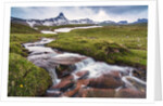 Mountain creek at the Swiss Tectonic Arena Sardona by Anonymous