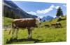 Lake Oeschinensee by Anonymous