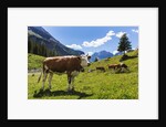 Lake Oeschinensee by Anonymous