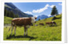 Lake Oeschinensee by Anonymous