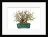 bonsai by Anonymous