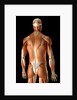 Rear-view of the muscles of the upper body by Anonymous