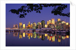 Vancouver and Lost Lagoon at Night by Anonymous