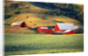 Fields Surrounding Red Barns by Anonymous