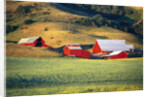 Fields Surrounding Red Barns by Anonymous