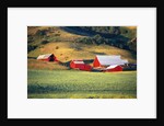 Fields Surrounding Red Barns by Anonymous