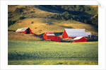 Fields Surrounding Red Barns by Anonymous
