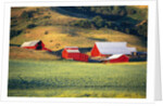 Fields Surrounding Red Barns by Anonymous