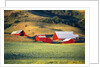 Fields Surrounding Red Barns by Anonymous