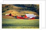 Fields Surrounding Red Barns by Anonymous